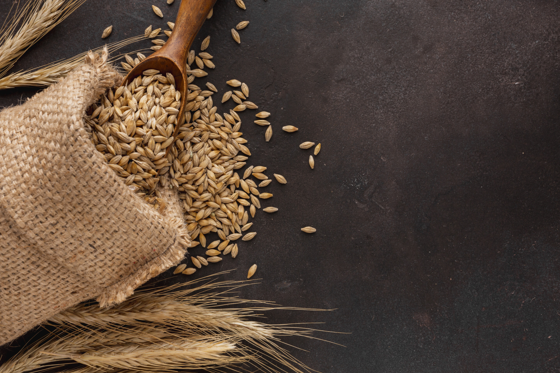 durum-wheat-ribu-foodstuffs